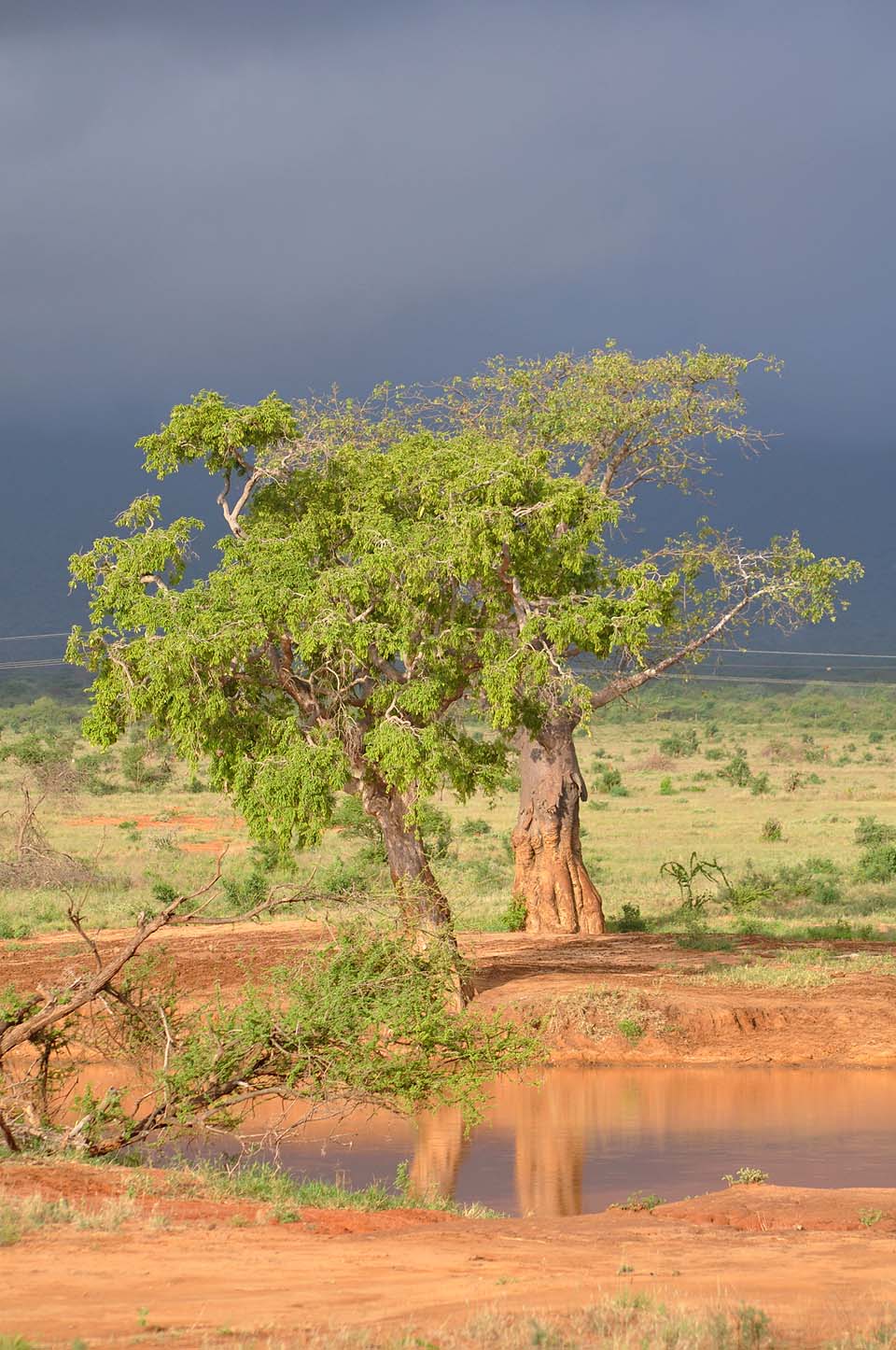 Kenya 2011 554